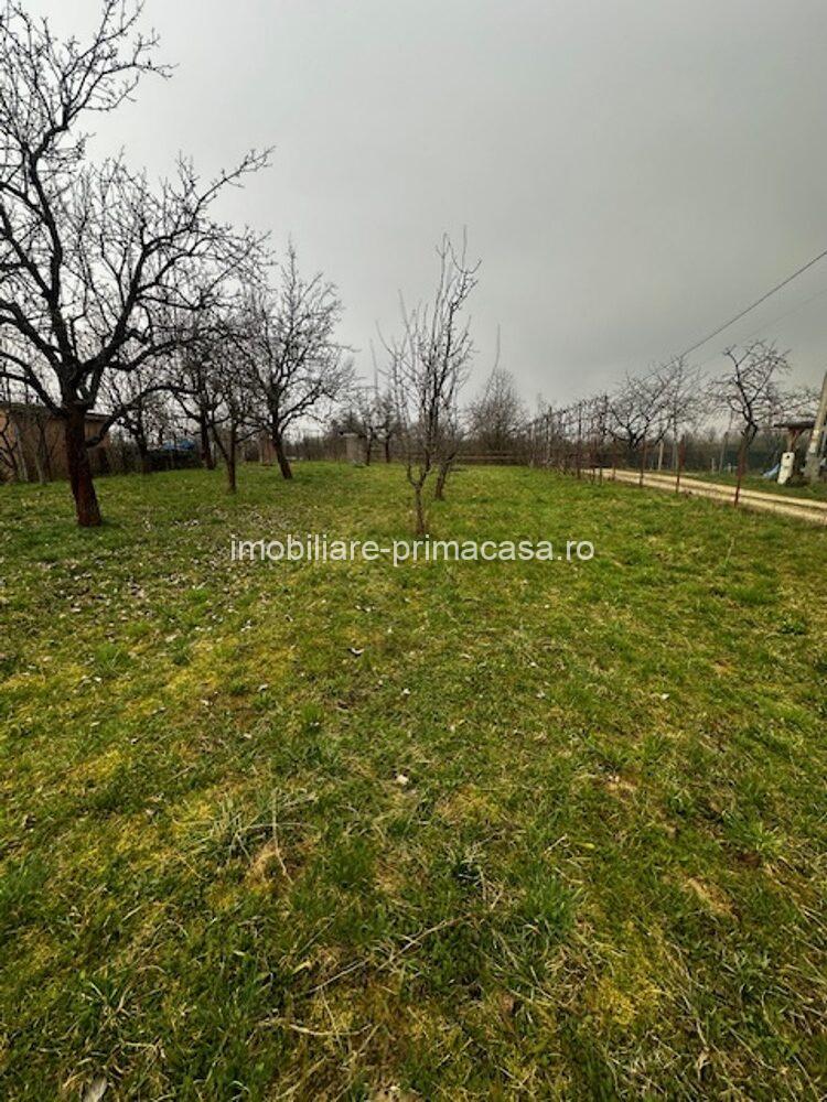 SATU NOU DE JOS, casa D+P+E 300mp , cu teren 21ari! - imagine 24