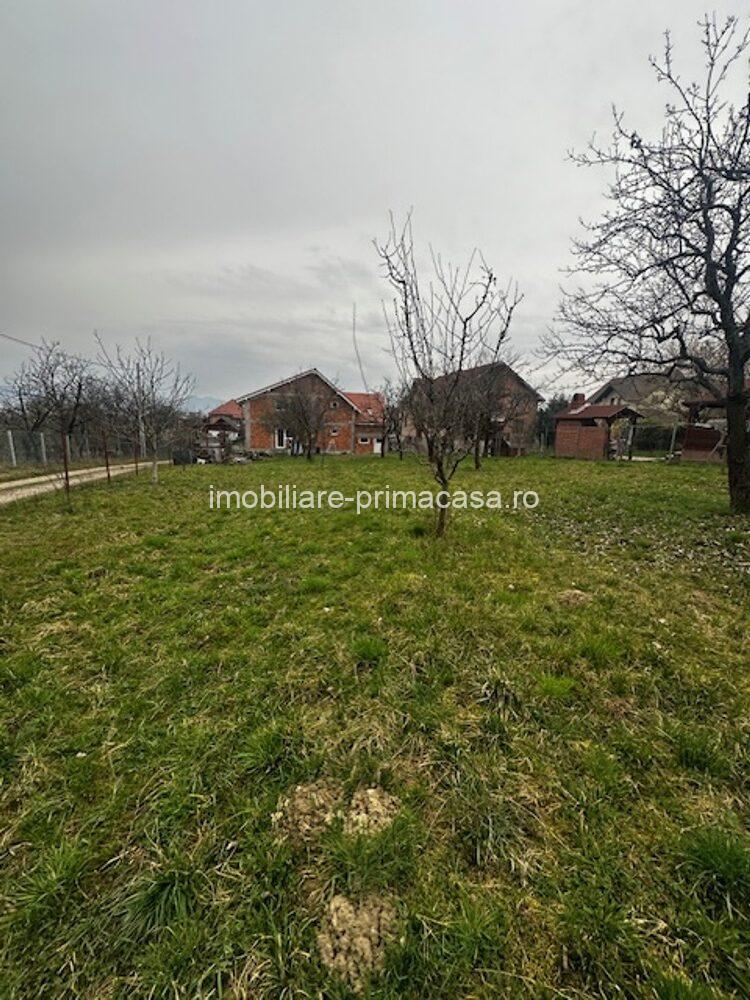 SATU NOU DE JOS, casa D+P+E 300mp , cu teren 21ari! - imagine 22