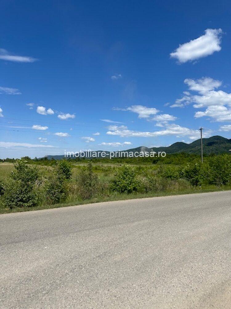 TEREN INDUSTRIAL 42.167 mp zona BUSAG pt constructii HALE! - imagine 9