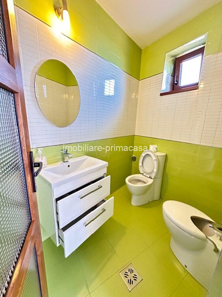 V. BORCUTULUI VILA 600mp P+E+M cu 2000mp teren! - imagine 28