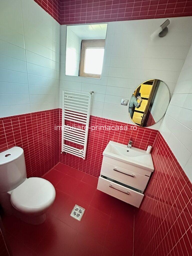 V. BORCUTULUI VILA 600mp P+E+M cu 2000mp teren! - imagine 22