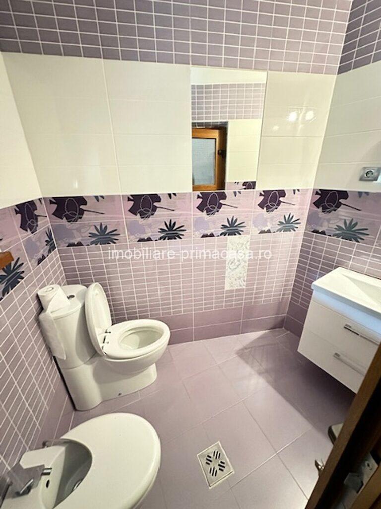 V. BORCUTULUI VILA 600mp P+E+M cu 2000mp teren! - imagine 16