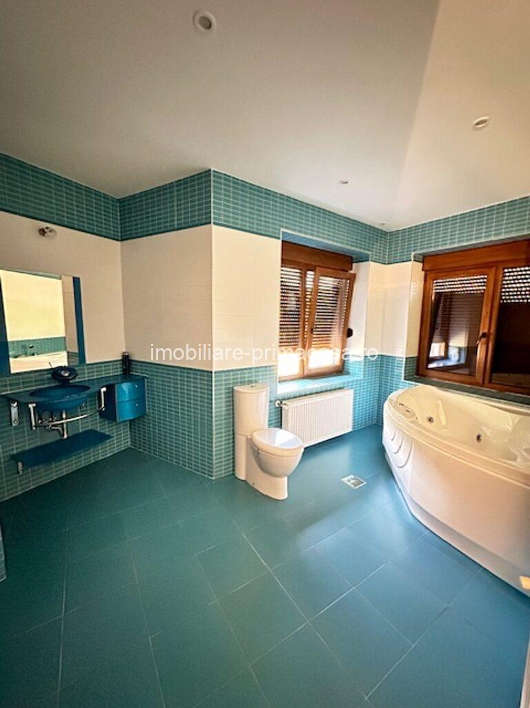 V. BORCUTULUI VILA 600mp P+E+M cu 2000mp teren! - imagine 12