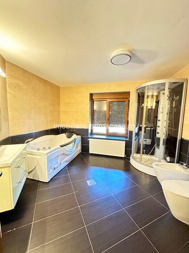 V. BORCUTULUI VILA 600mp P+E+M cu 2000mp teren! - imagine 8