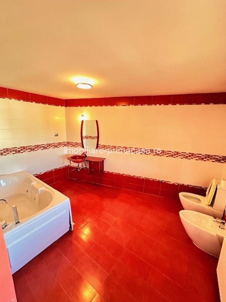 V. BORCUTULUI VILA 600mp P+E+M cu 2000mp teren! - imagine 6