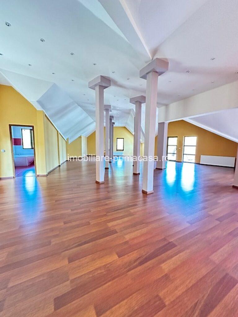 V. BORCUTULUI VILA 600mp P+E+M cu 2000mp teren! - imagine 5