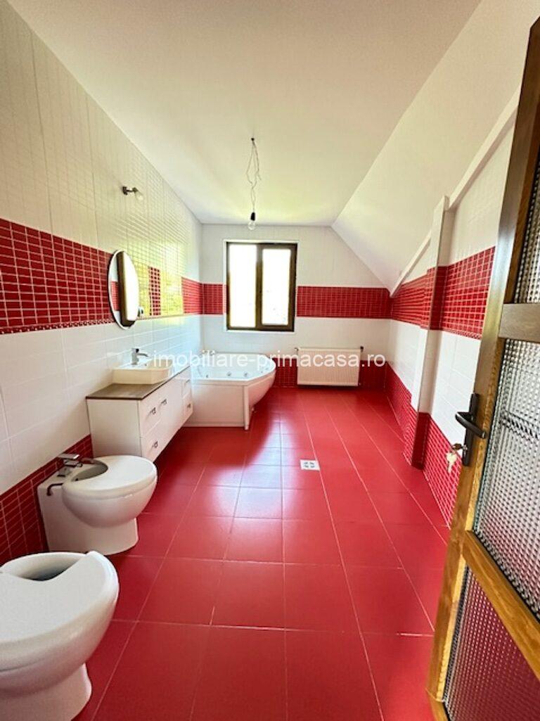 V. BORCUTULUI VILA 600mp P+E+M cu 2000mp teren! - imagine 4