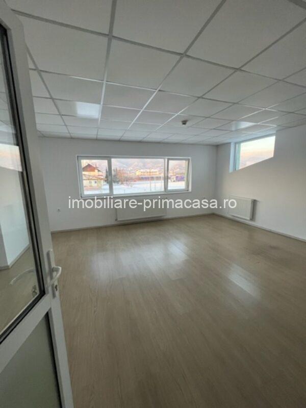 Zona Margeanului HALA industriala +birouri +depozit ! - imagine 23