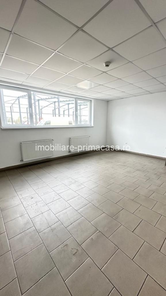 Zona Margeanului HALA industriala +birouri +depozit ! - imagine 16