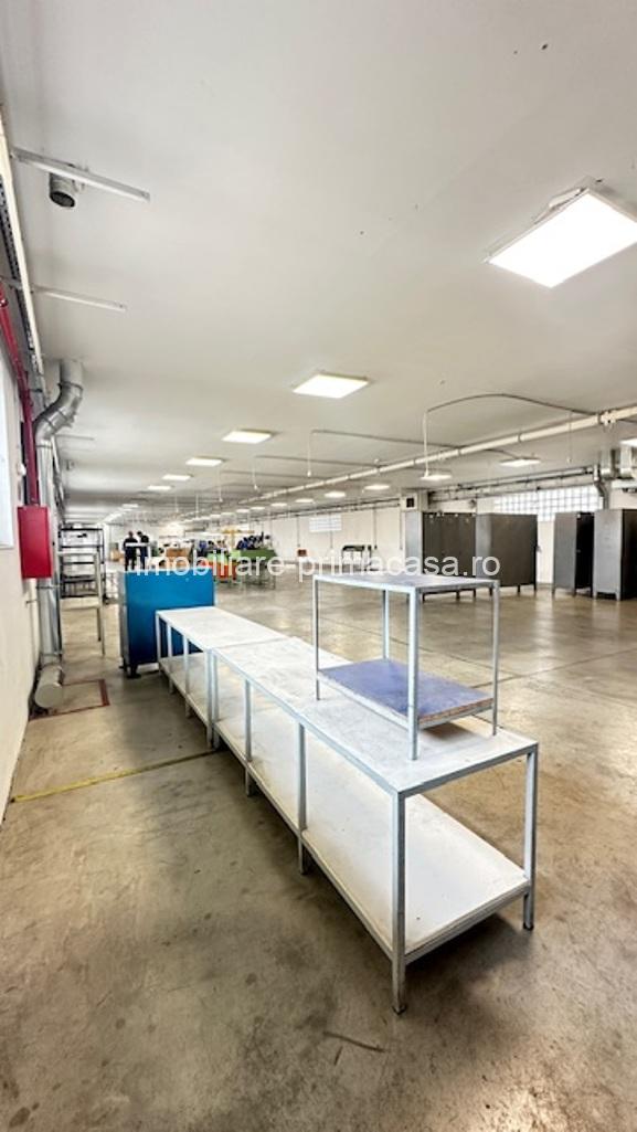 Zona Margeanului HALA industriala +birouri +depozit ! - imagine 12