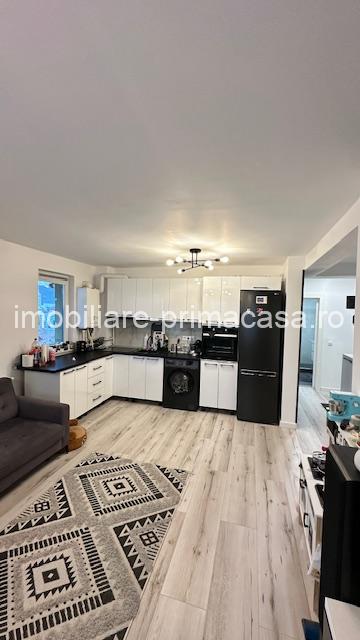 OLTULUI( Centru Vechi) apartament 2 camere finisat modern! - imagine 14