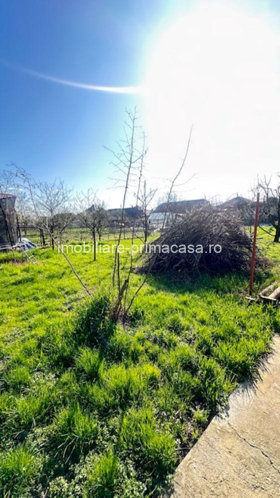 LAPUSEL, teren intravilan cu proiect casa si teren de aprox,10ari! - imagine 9