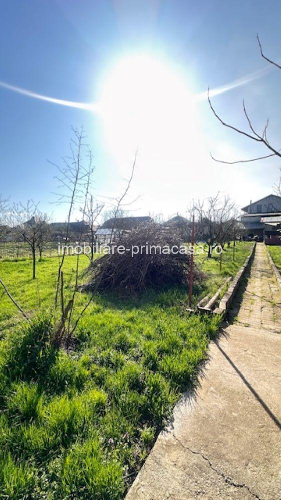 LAPUSEL, teren intravilan cu proiect casa si teren de aprox,10ari! - imagine 8