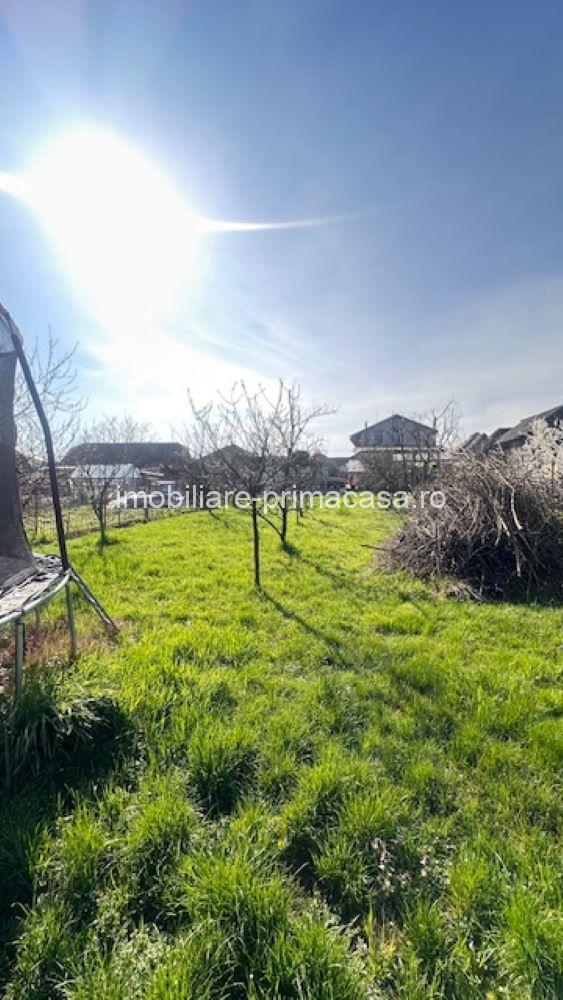 LAPUSEL, teren intravilan cu proiect casa si teren de aprox,10ari! - imagine 6