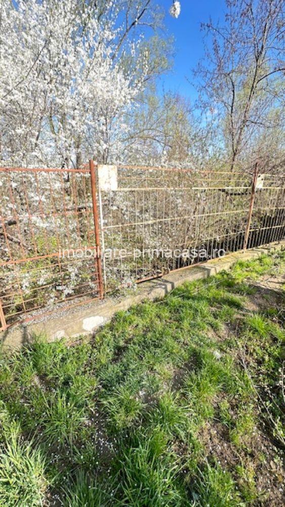 LAPUSEL, teren intravilan cu proiect casa si teren de aprox,10ari! - imagine 5