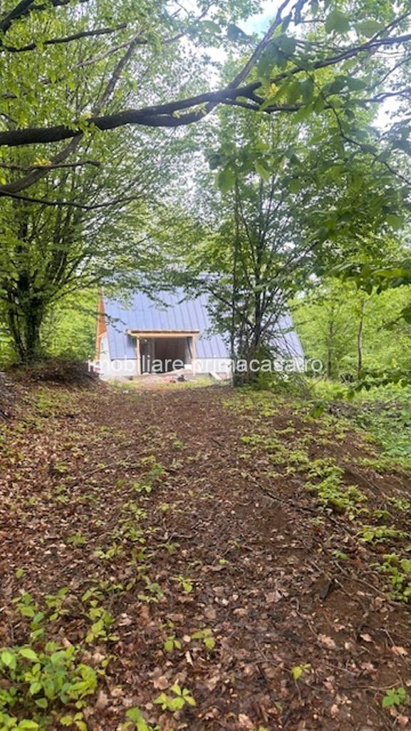 CHIUZBAIA 2CABANE cu teren de aprox. 70ari ! - imagine 8