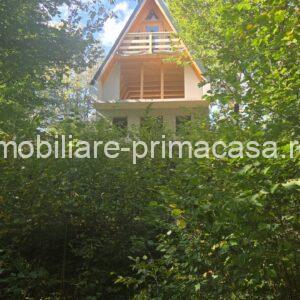CHIUZBAIA CABANA TIP A cu teren 17 ari!