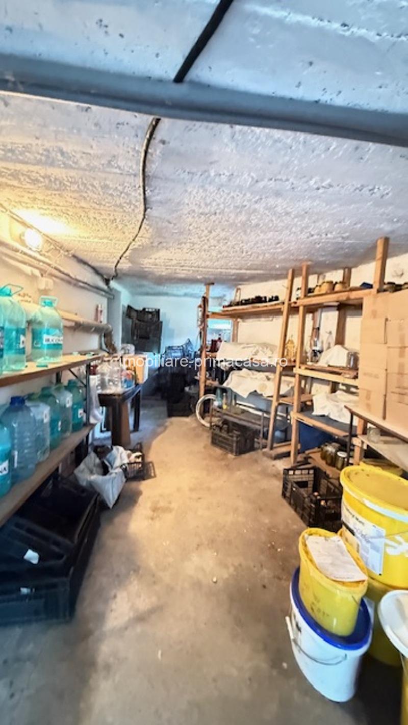 BAIA SPRIE - spre Cavnic Vila D+P+E 168mp + anexa cu teren 1526mp! - imagine 27