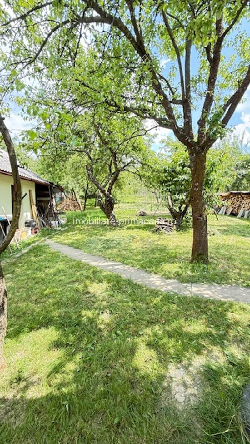 BAIA SPRIE - spre Cavnic Vila D+P+E 168mp + anexa cu teren 1526mp! - imagine 9