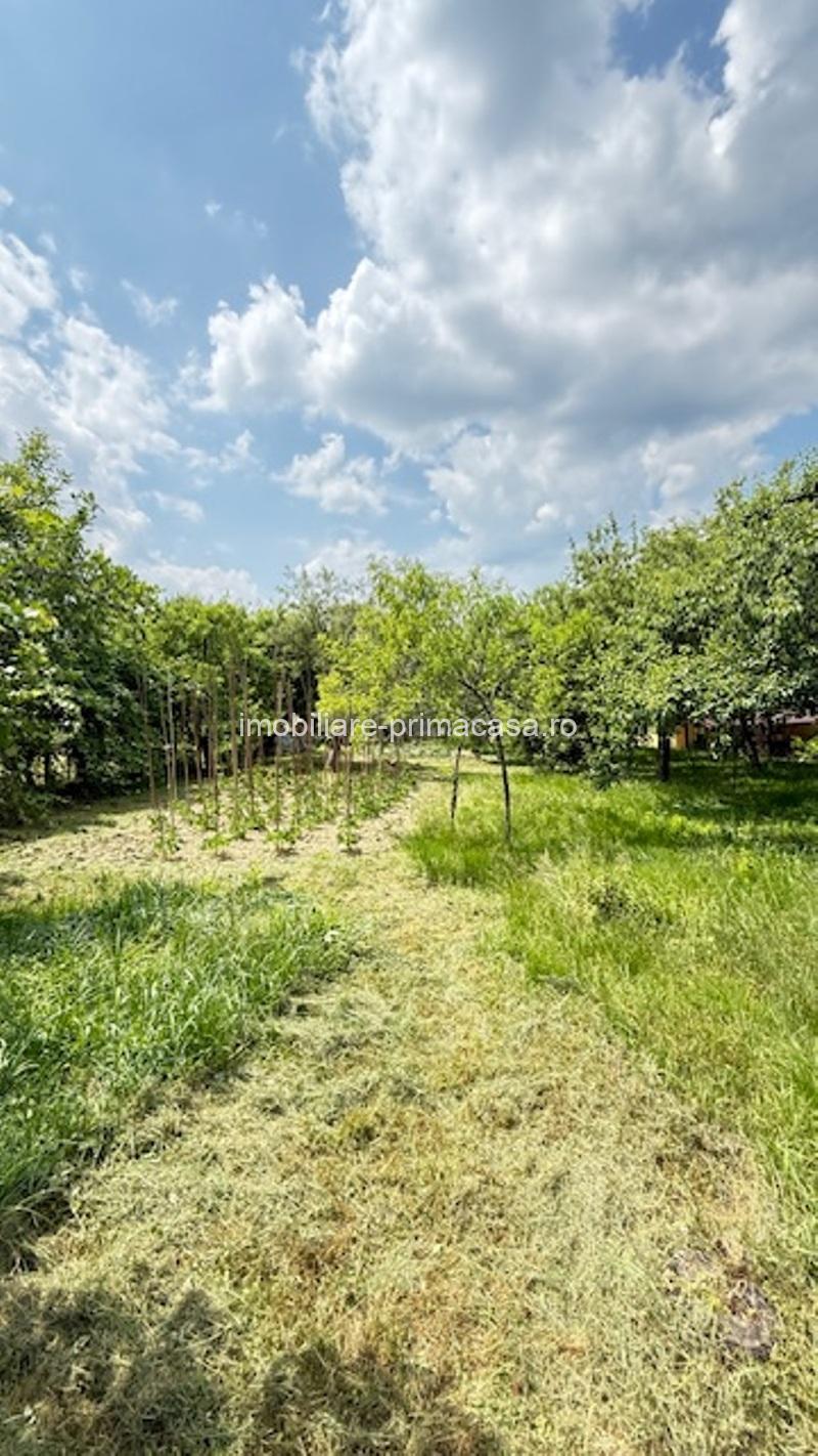 BAIA SPRIE - spre Cavnic Vila D+P+E 168mp + anexa cu teren 1526mp! - imagine 8