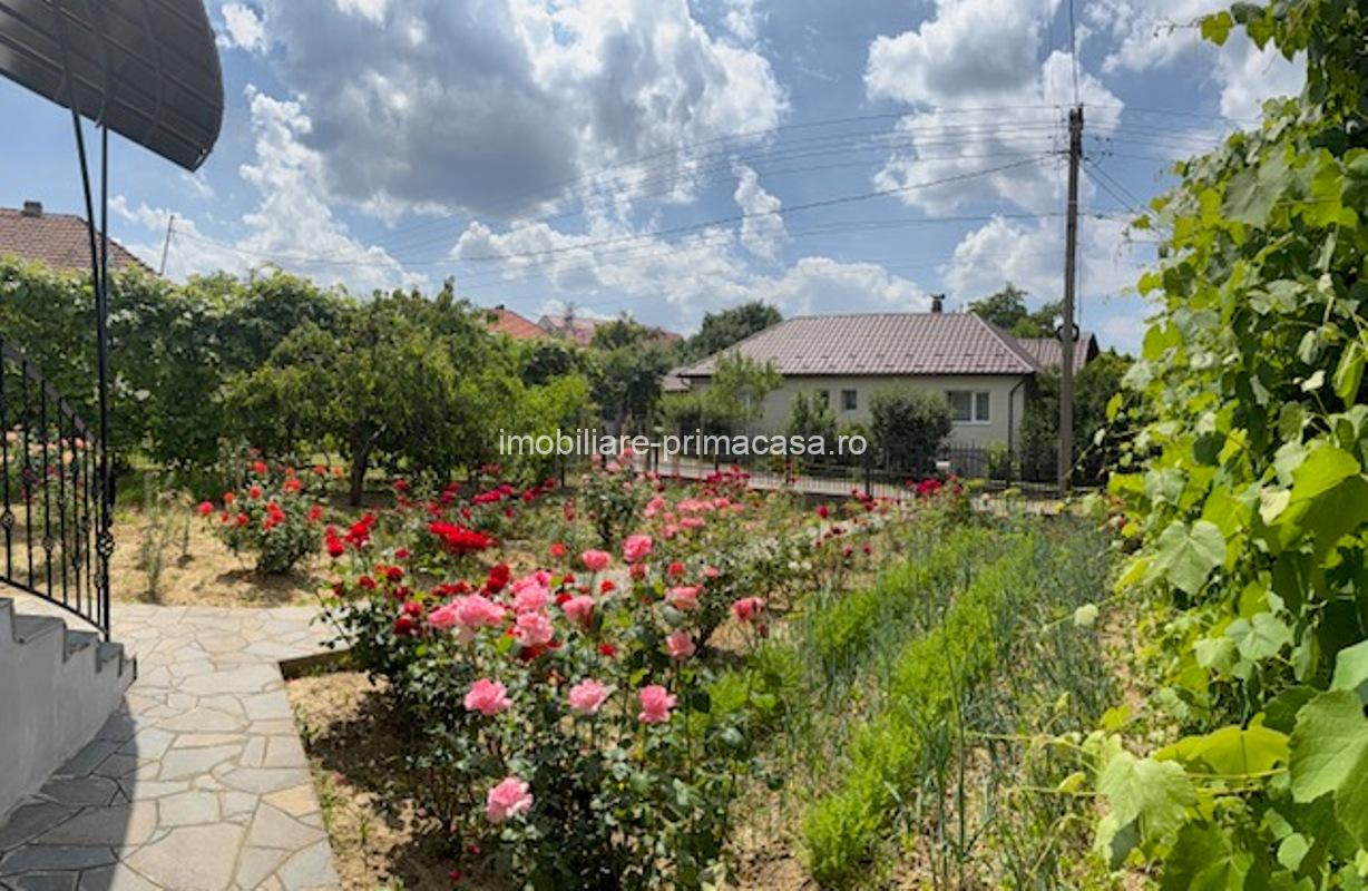 BAIA SPRIE - spre Cavnic Vila D+P+E 168mp + anexa cu teren 1526mp! - imagine 5