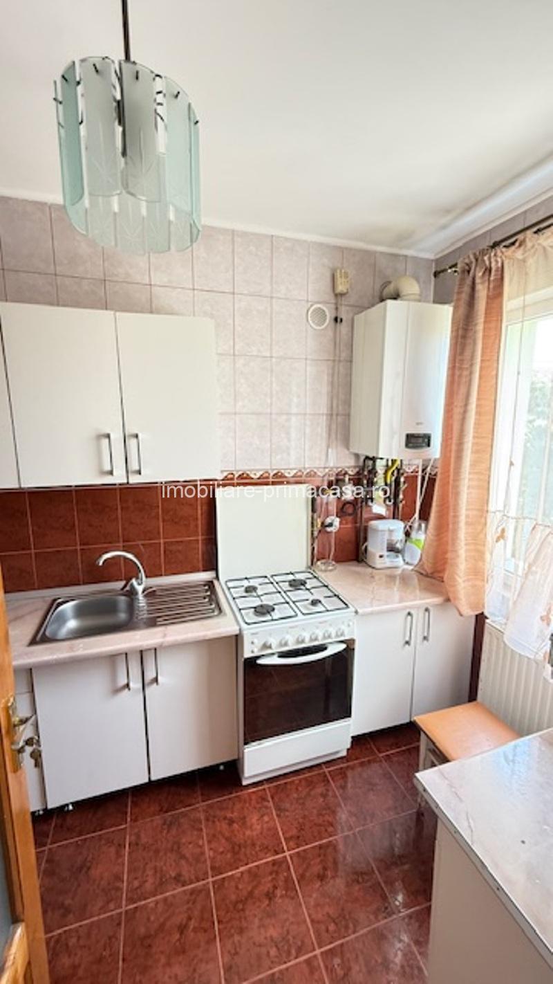 BAIA SPRIE - spre Cavnic Vila D+P+E 168mp + anexa cu teren 1526mp! - imagine 23