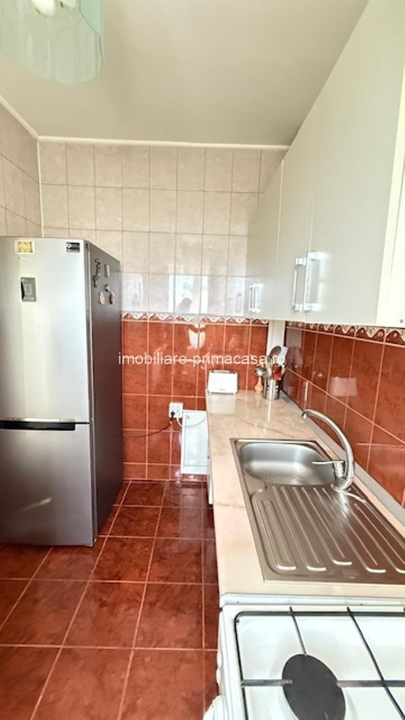 BAIA SPRIE - spre Cavnic Vila D+P+E 168mp + anexa cu teren 1526mp! - imagine 22