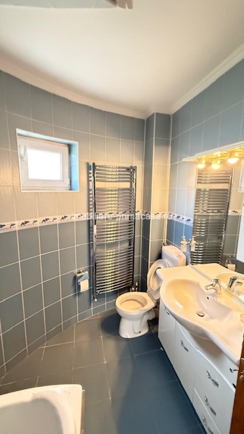 BAIA SPRIE - spre Cavnic Vila D+P+E 168mp + anexa cu teren 1526mp! - imagine 19