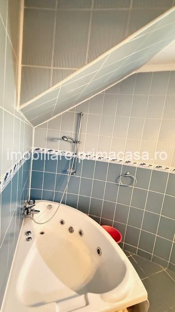 BAIA SPRIE - spre Cavnic Vila D+P+E 168mp + anexa cu teren 1526mp! - imagine 18