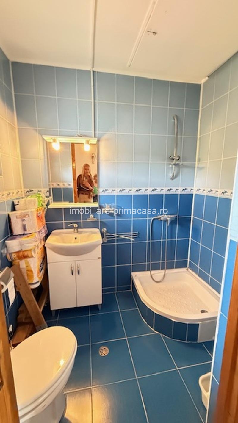 BAIA SPRIE - spre Cavnic Vila D+P+E 168mp + anexa cu teren 1526mp! - imagine 16