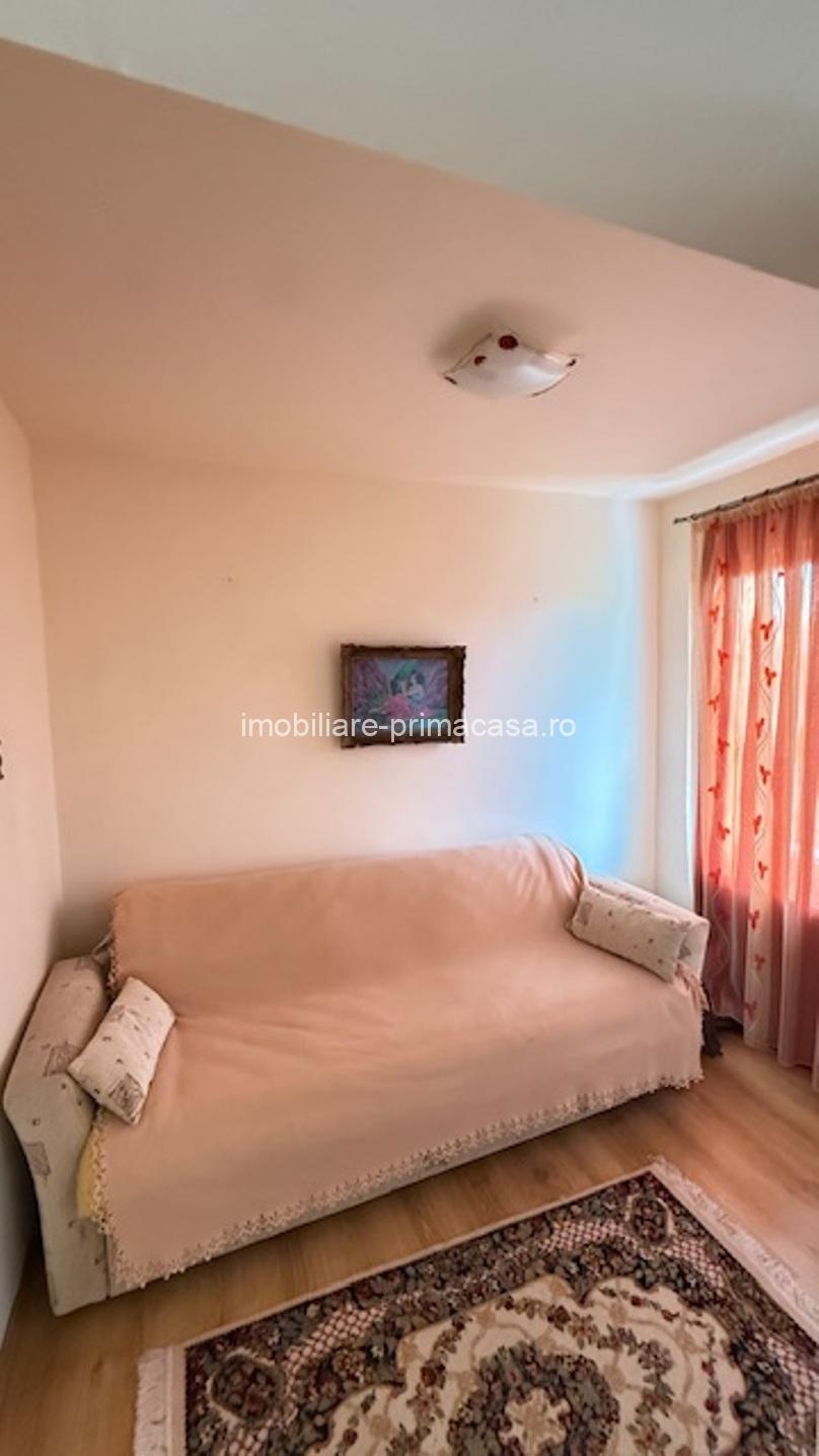 BAIA SPRIE - spre Cavnic Vila D+P+E 168mp + anexa cu teren 1526mp! - imagine 6