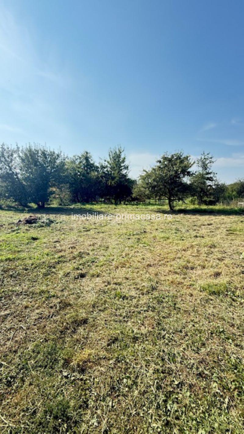 OCOLIS casa batraneasca cu sura si 14 ari teren! - imagine 8