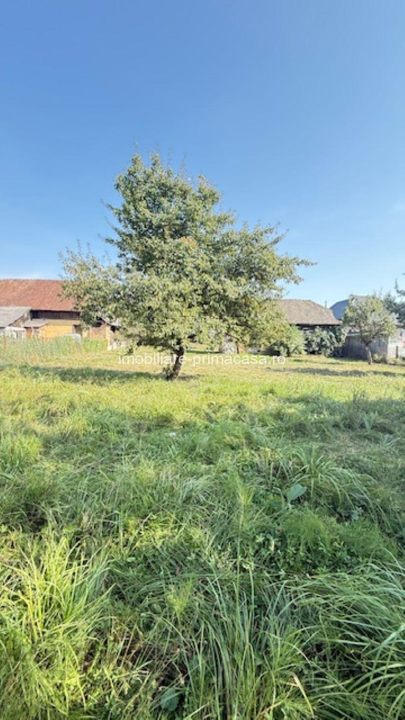 OCOLIS casa batraneasca cu sura si 14 ari teren! - imagine 7