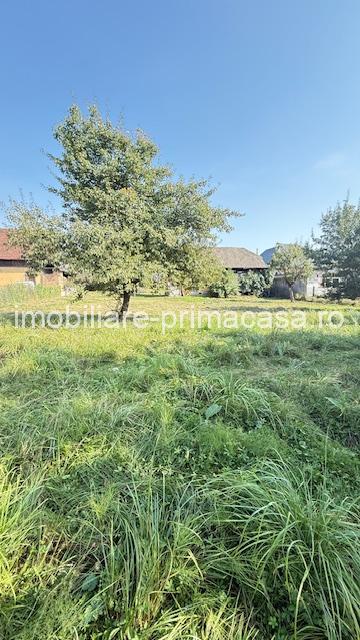 OCOLIS casa batraneasca cu sura si 14 ari teren! - imagine 6