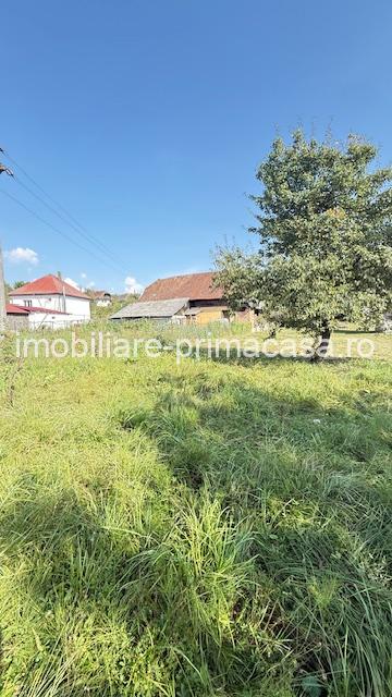 OCOLIS casa batraneasca cu sura si 14 ari teren! - imagine 5