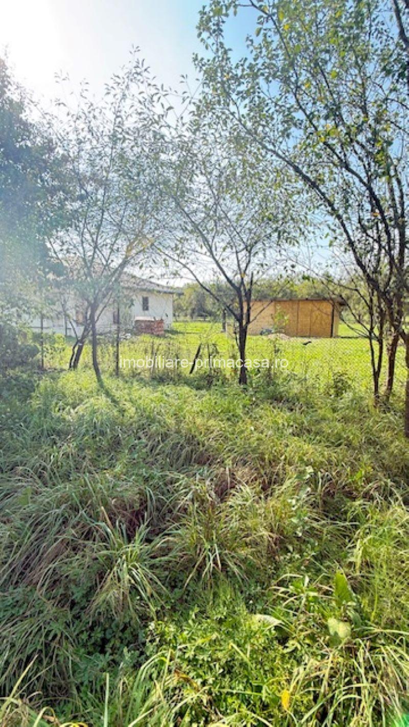 OCOLIS casa batraneasca cu sura si 14 ari teren! - imagine 4