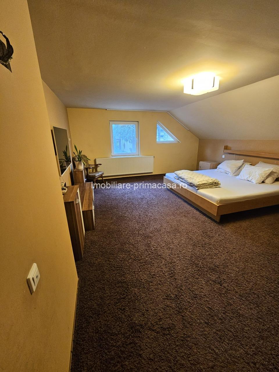 🏡 PROPRIETATE DE EXCEPȚIE – ZONĂ ULTRACENTRALĂ, BAIA MARE - imagine 24