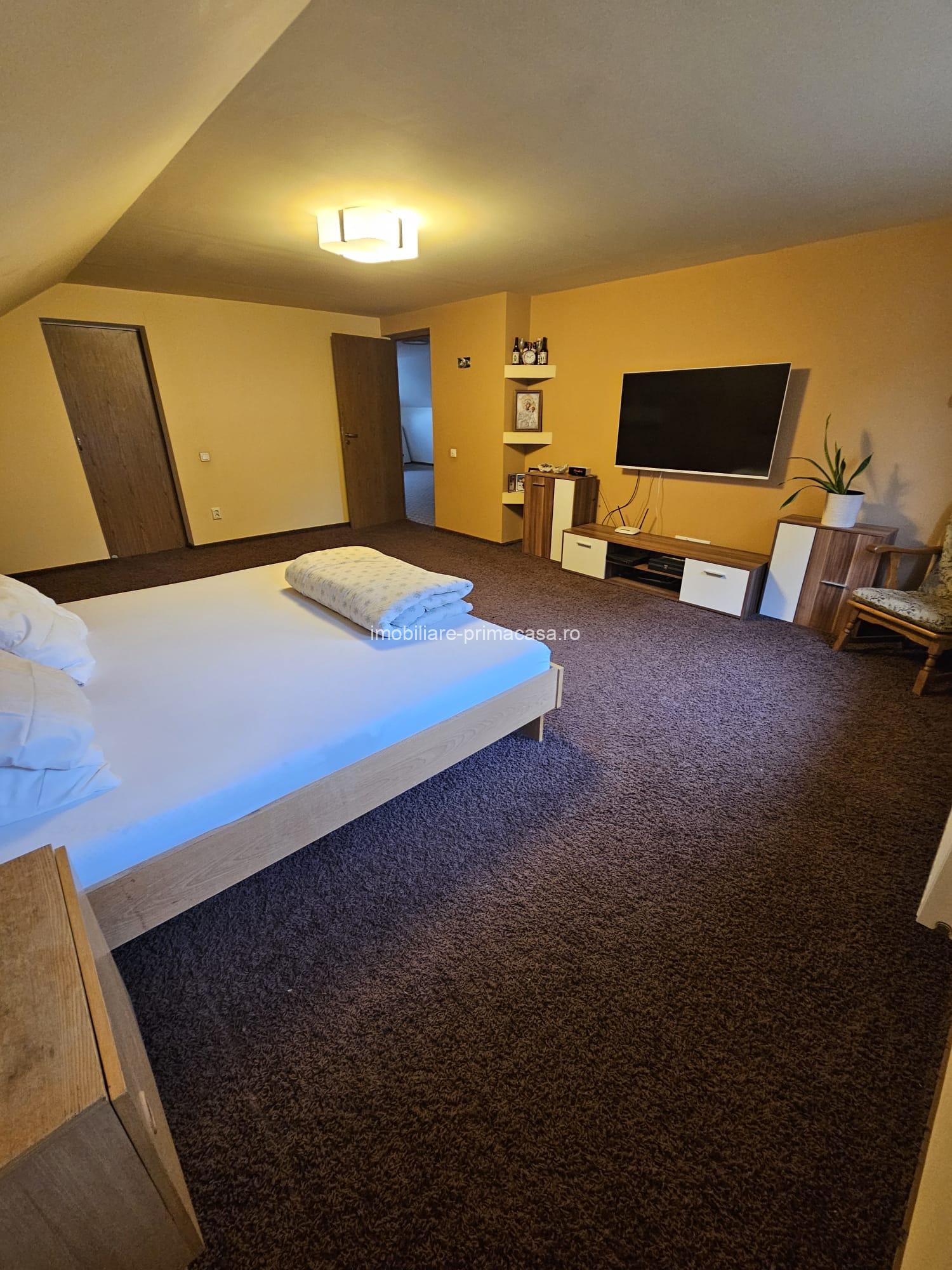 🏡 PROPRIETATE DE EXCEPȚIE – ZONĂ ULTRACENTRALĂ, BAIA MARE - imagine 23