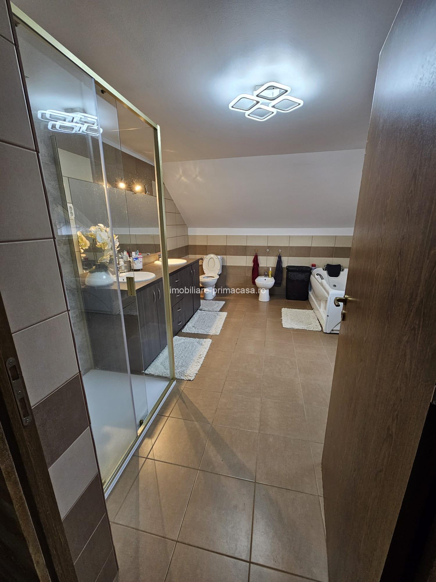 🏡 PROPRIETATE DE EXCEPȚIE – ZONĂ ULTRACENTRALĂ, BAIA MARE - imagine 20