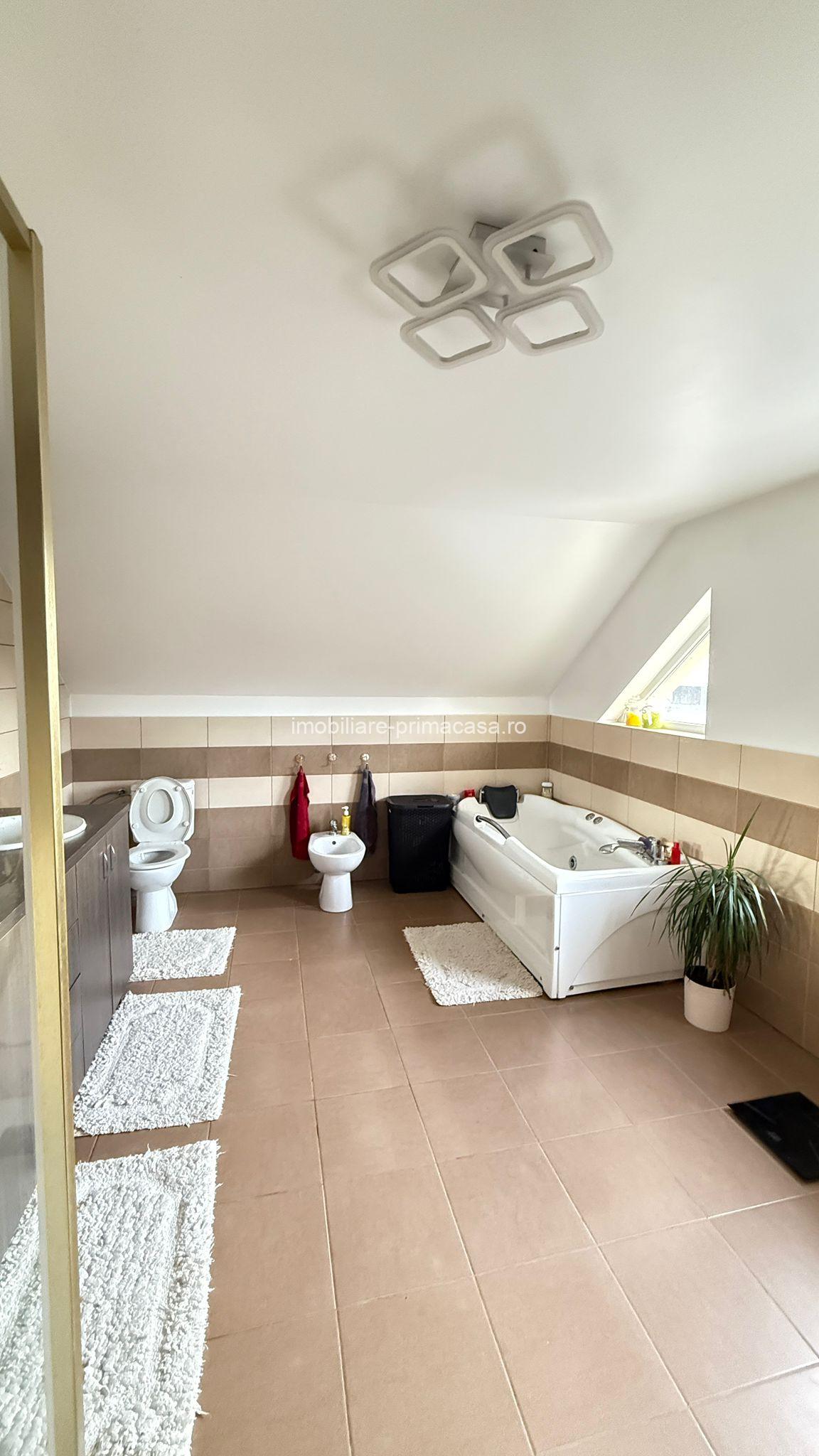 🏡 PROPRIETATE DE EXCEPȚIE – ZONĂ ULTRACENTRALĂ, BAIA MARE - imagine 3