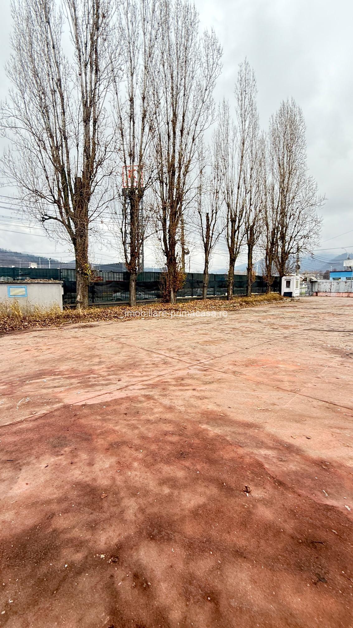 Hală industrială de vânzare / închiriere – suprafață mare, acces facil! - imagine 18