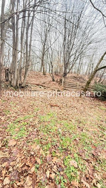 OPORTUNITATE - TEREN PENTRU PARC DISTRACTII!!! - imagine 15
