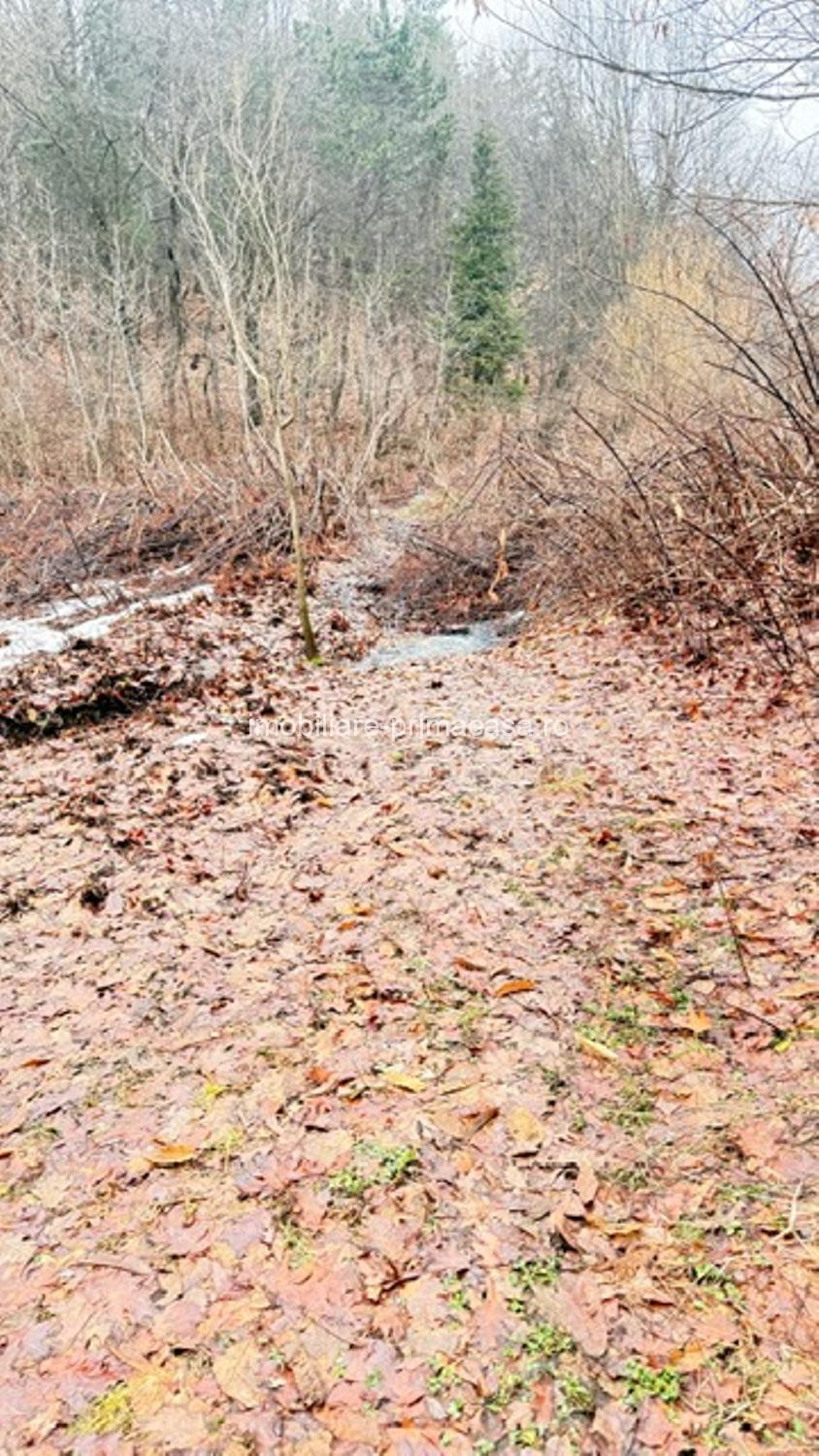 OPORTUNITATE - TEREN PENTRU PARC DISTRACTII!!! - imagine 13