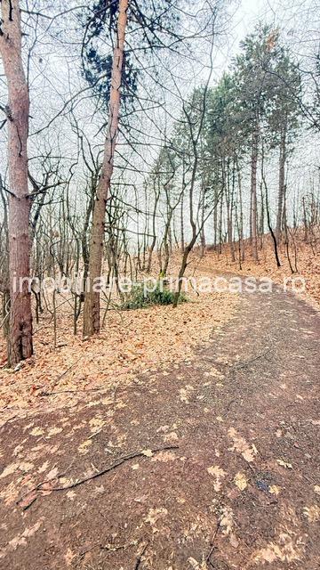 OPORTUNITATE - TEREN PENTRU PARC DISTRACTII!!! - imagine 11