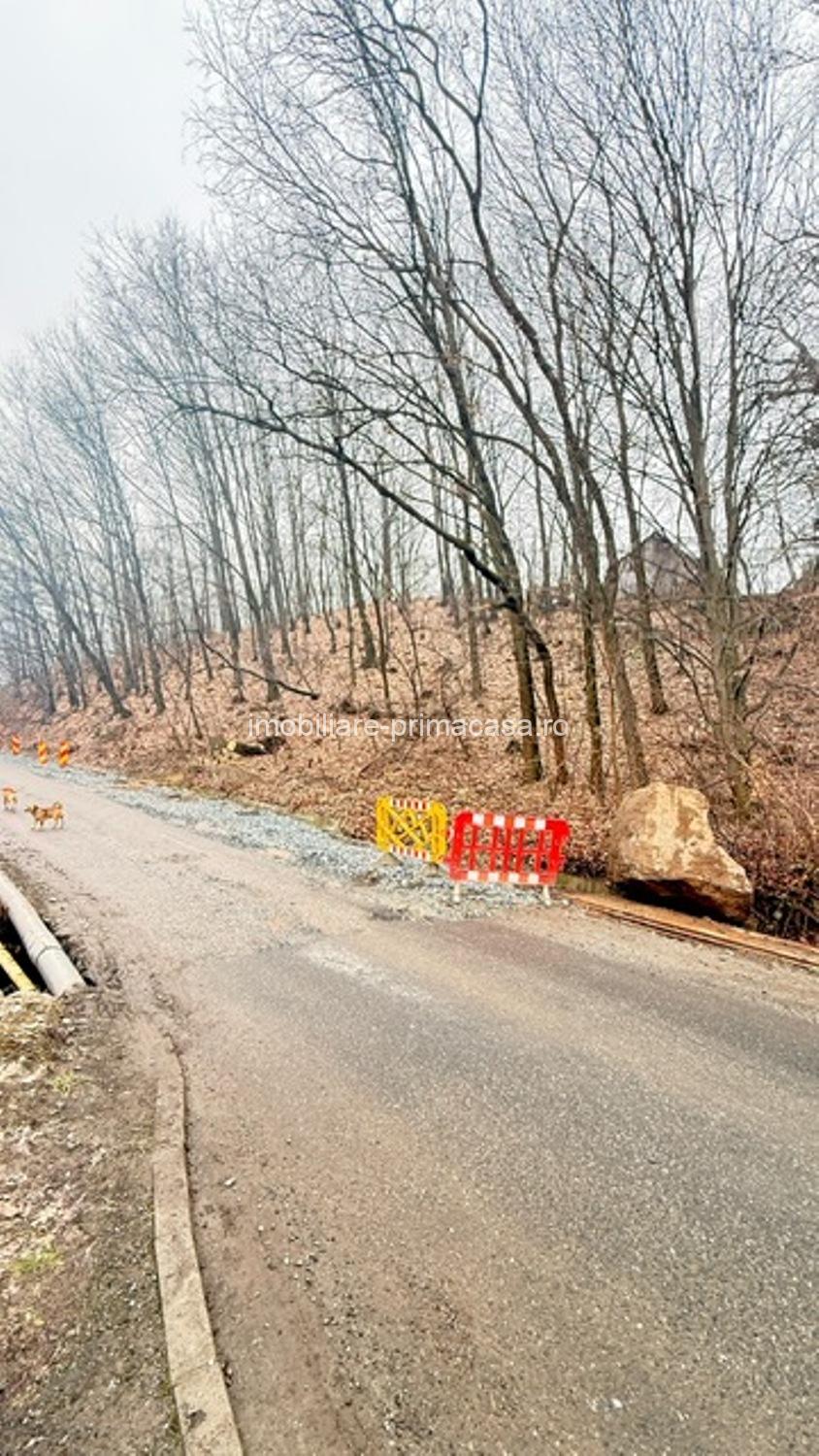 OPORTUNITATE - TEREN PENTRU PARC DISTRACTII!!! - imagine 10