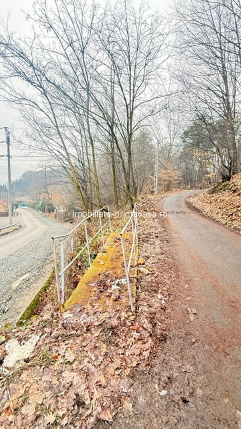 OPORTUNITATE - TEREN PENTRU PARC DISTRACTII!!! - imagine 8