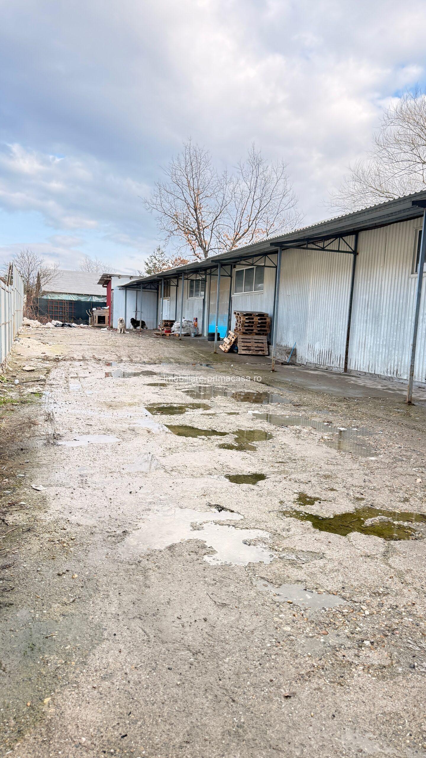 Zona Eminescu HALA 451 mp + caldire birouri 154 mp, teren 2000mp! - imagine 16