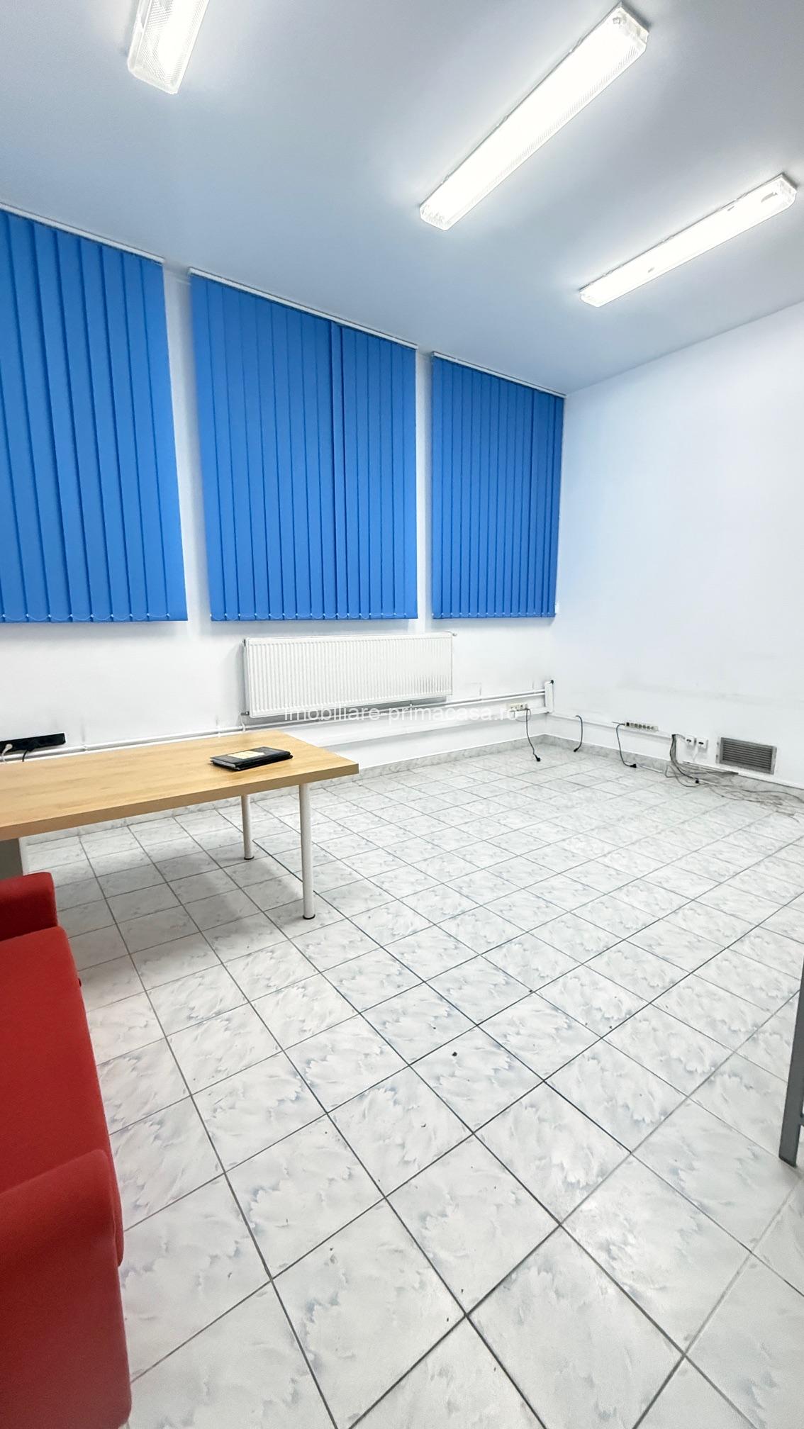 Hală industrială de vânzare / închiriere – suprafață mare, acces facil! - imagine 16