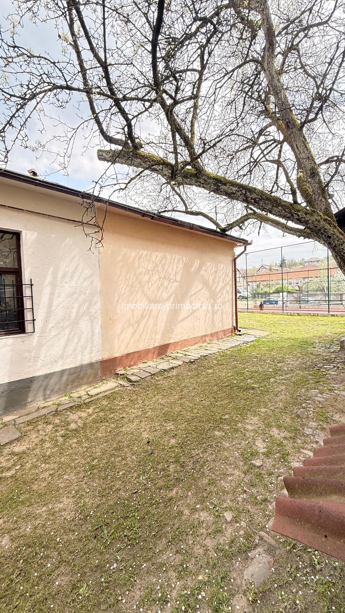 ULTRACENTRAL Baia Sprie , casa langa Primarie - doar 21.000euro! - imagine 5