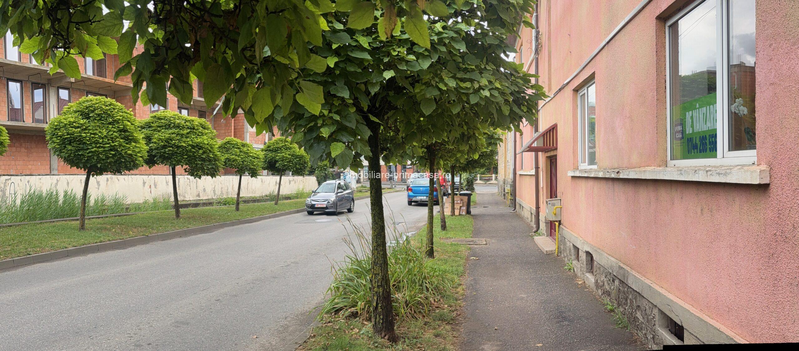 Zona Parcul Regina Maria! Apartament 3 camere la vilă, parter, beci si garaj, curte privata! - imagine 24